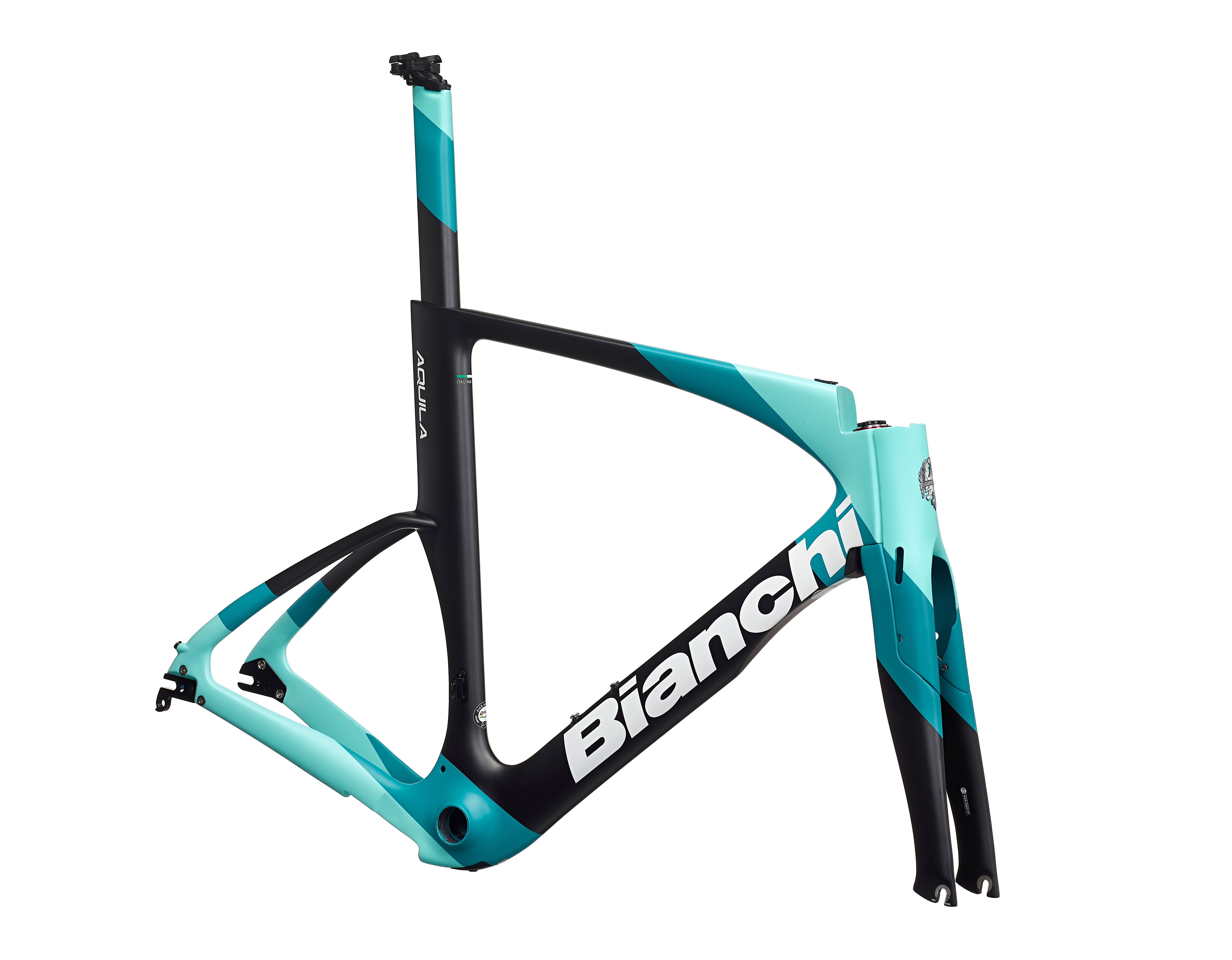 Aquila Bianchi