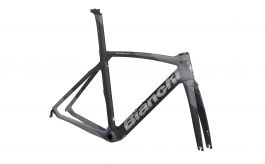 Bianchi xr4 disc frameset deals