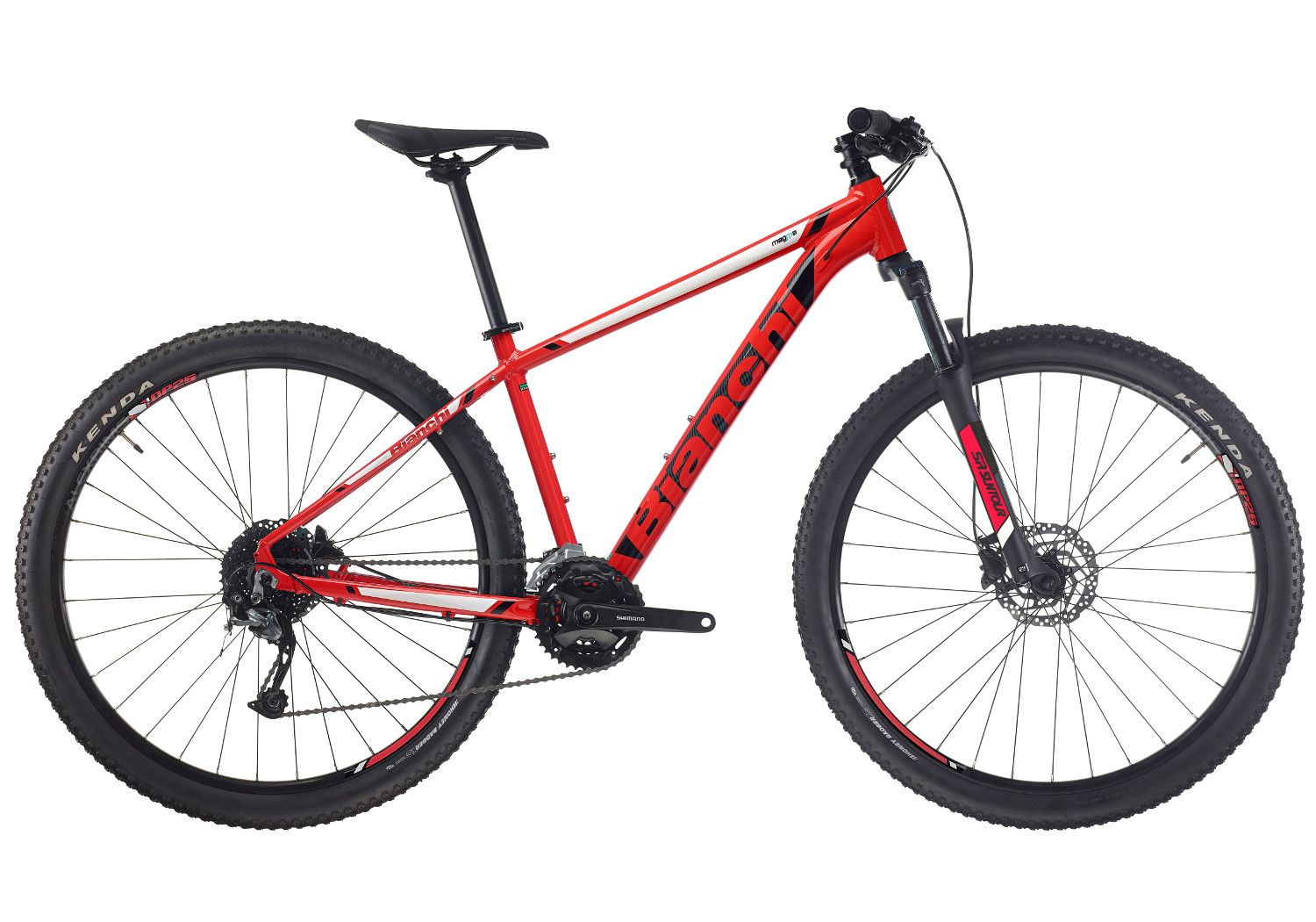 Bianchi magma best sale