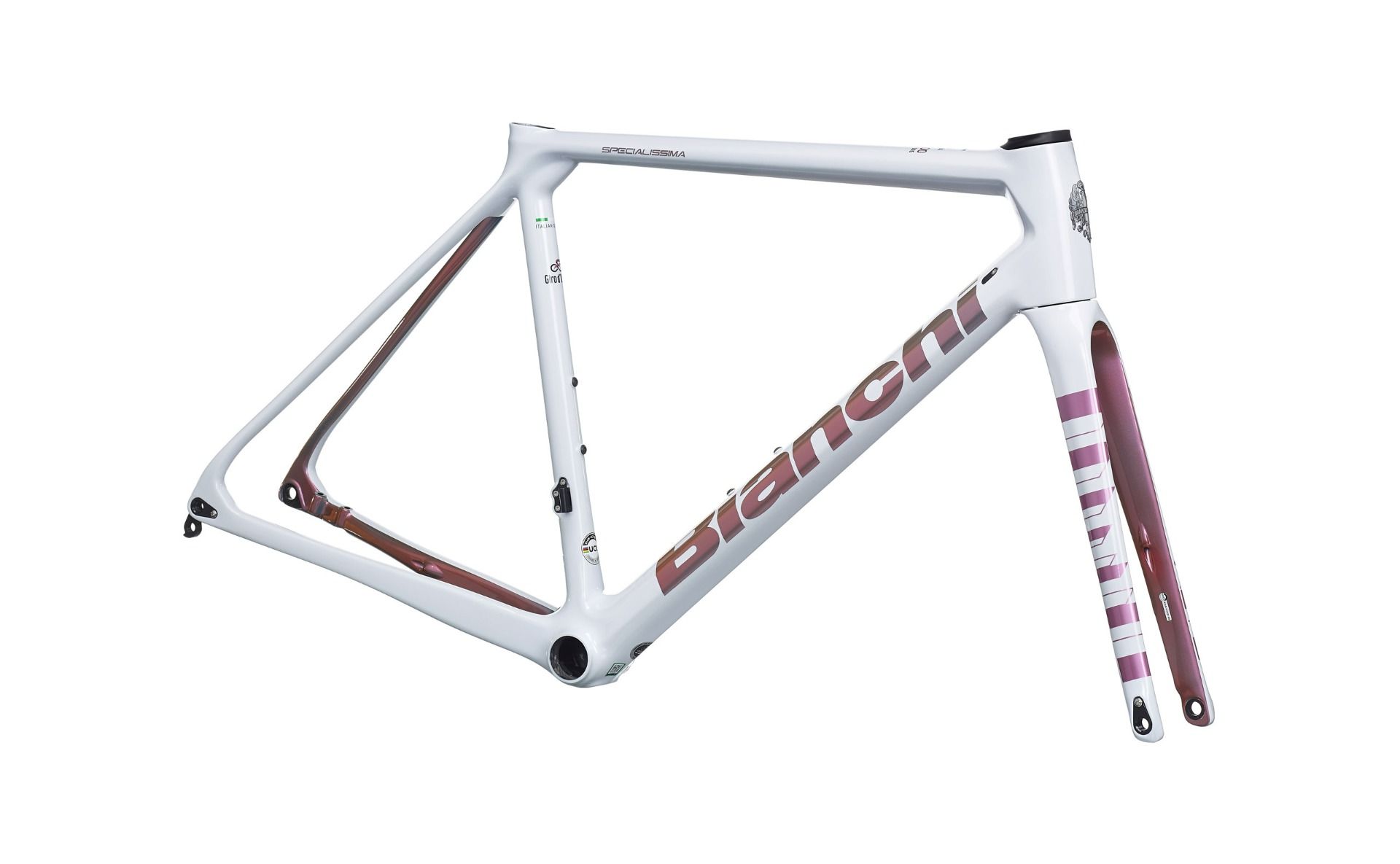 Bianchi frame set hot sale