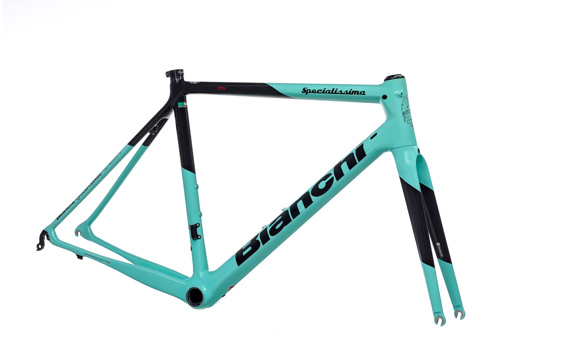 Bianchi frame set sale
