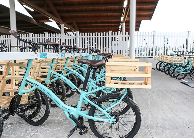 Bianchi sales bike basket