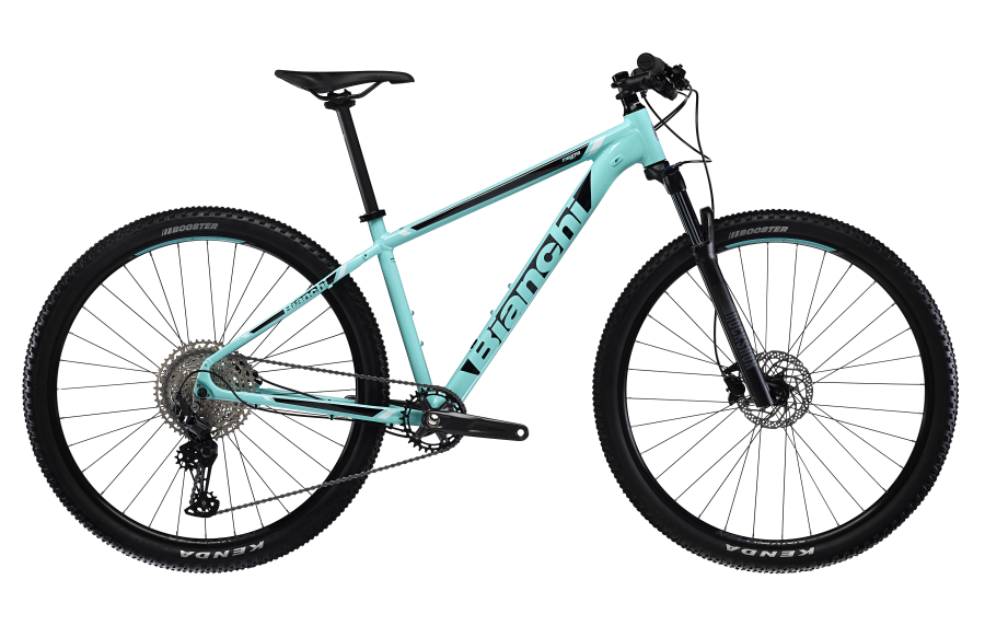 Magma Hardtail MTB